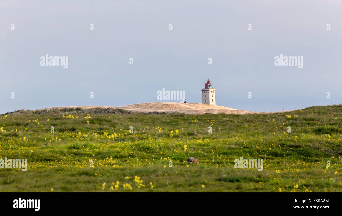 Le phare de rubjerg knude au Danemark Banque D'Images