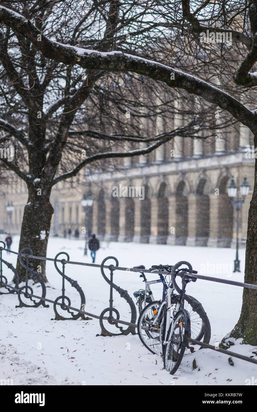 Germany, Bavaria, Munich, parc Hofgarten, early snow Banque D'Images