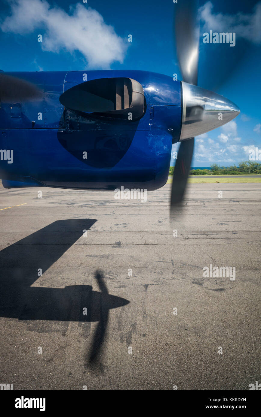 Saint-Kitts-et-Nevis, Nevis, Vance W. Amory, vue au sol depuis un avion à propulsion Banque D'Images