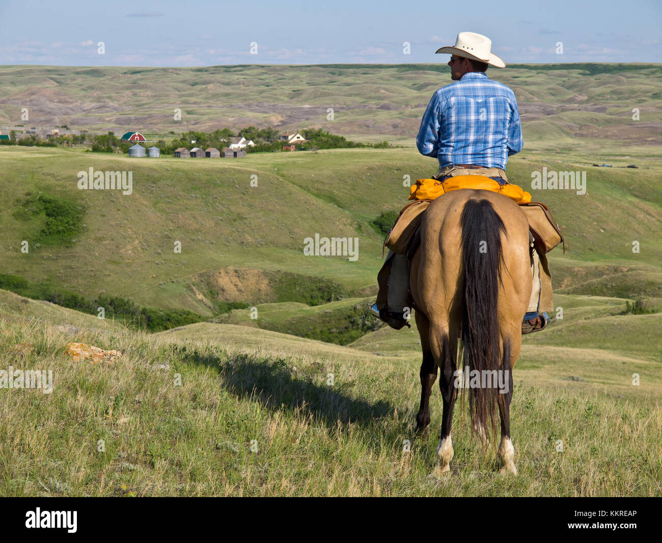 Cowboy on horse Banque D'Images