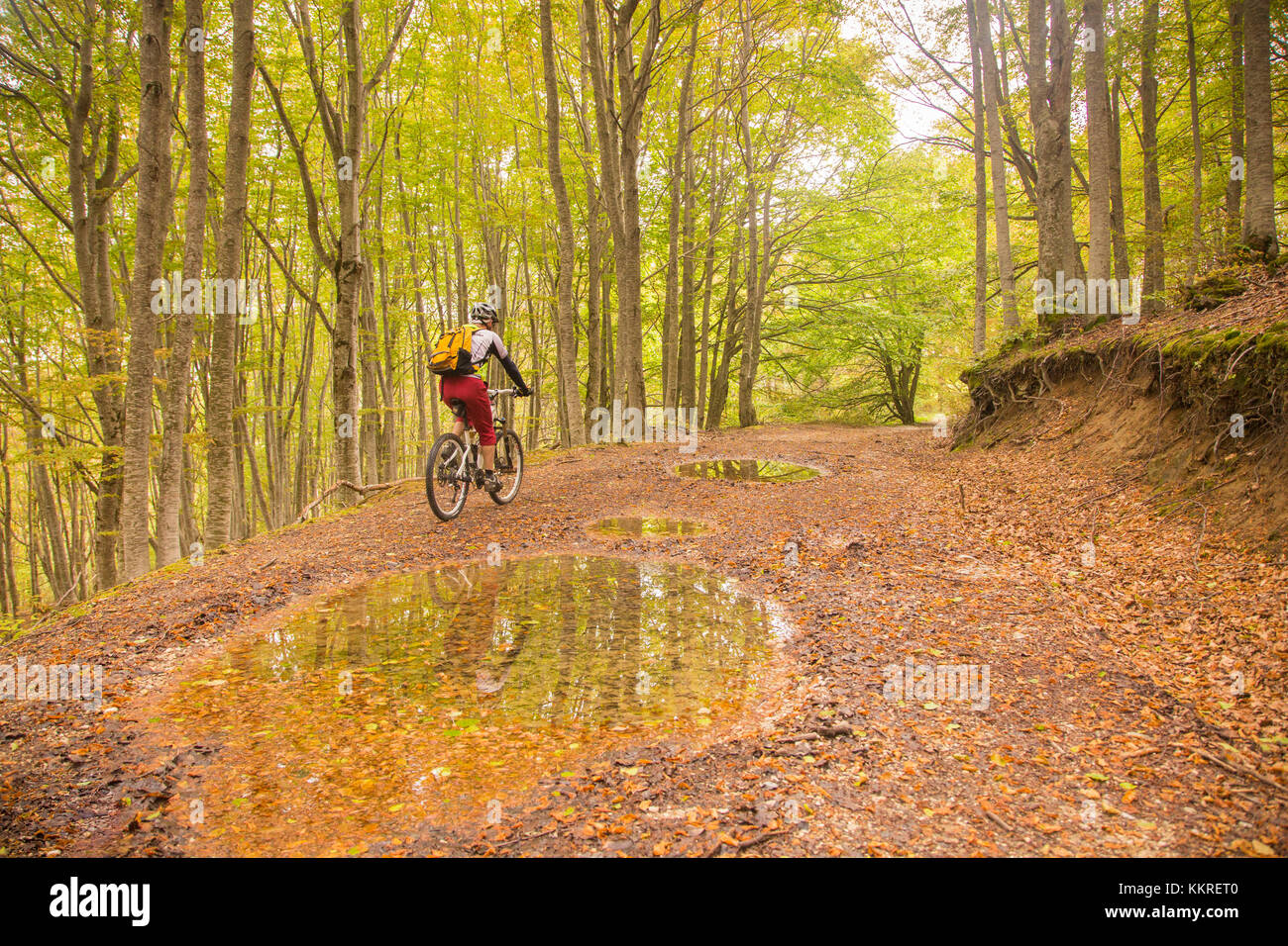 Biker sur les pistes dans les bois, Gran Sasso, Abruzzo, italie Banque D'Images