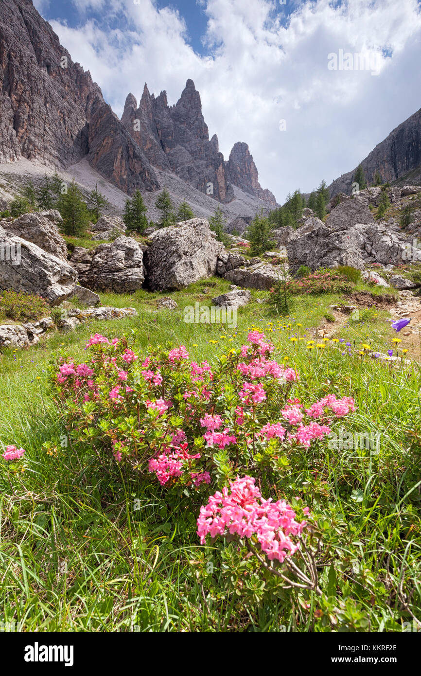 Vallée de Formin, Dolomites, Cortina d'Ampezzo, Vénétie, Italie Banque D'Images