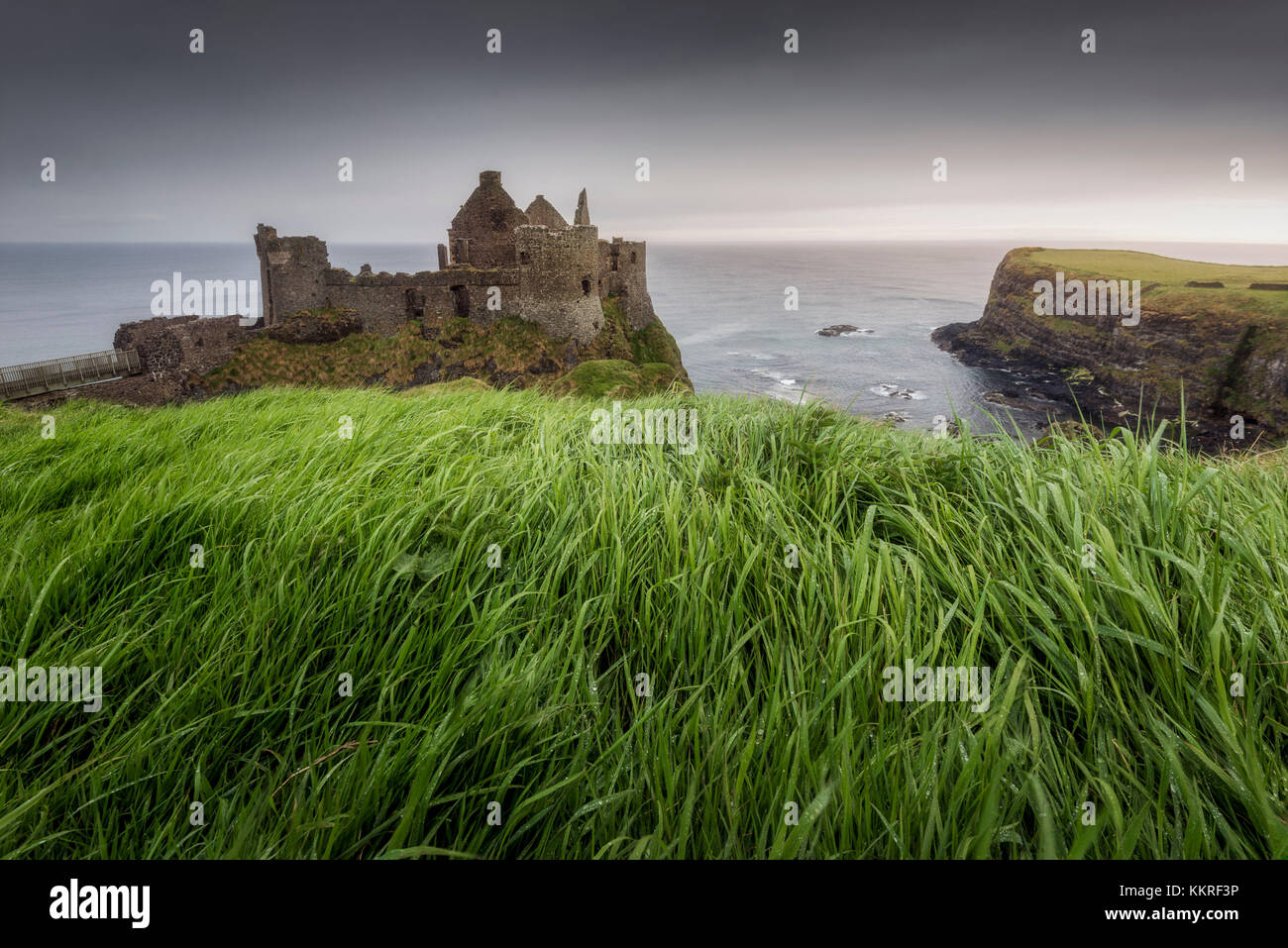 Ruines du château de dunluce, Irlande du Nord, le comté d'Antrim, bushmills, Royaume-Uni Banque D'Images