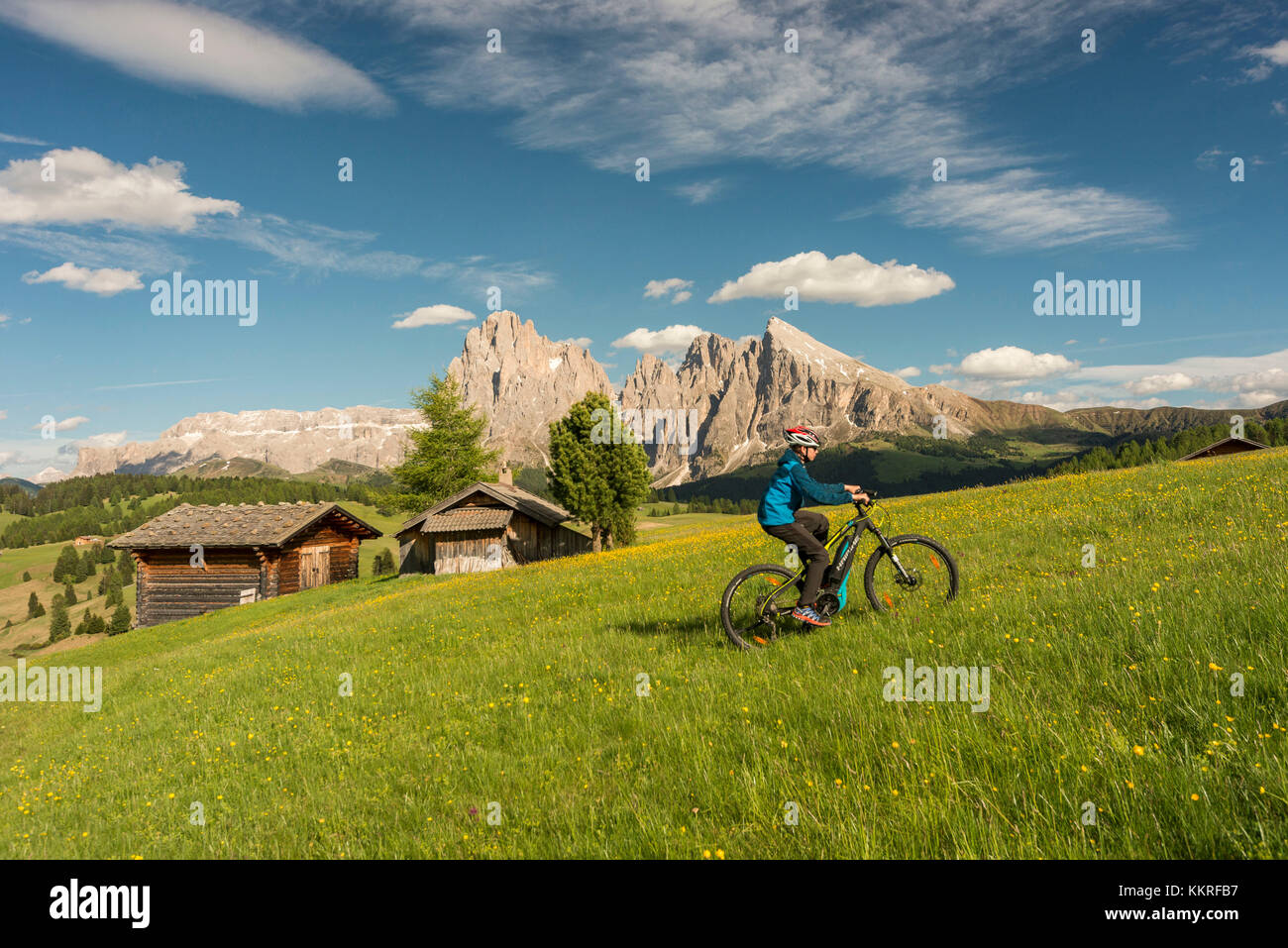 Alpe di Siusi/Seiser Alm, Dolomites, Tyrol du Sud, Italie. Mountainbiker sur l'Alpe di Siusi Banque D'Images