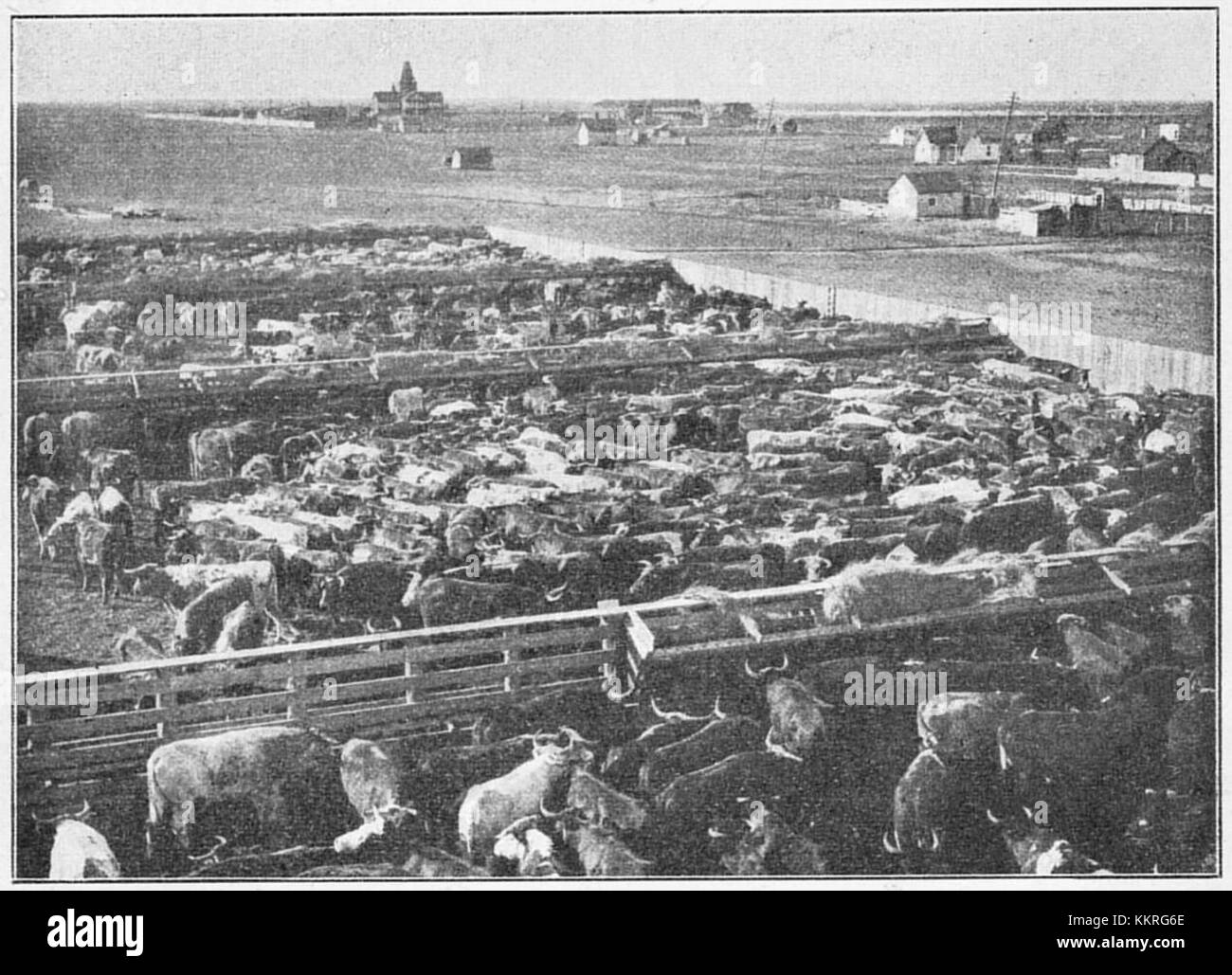 Genom Canada 32 désigne une publication ou un projet médiatique qui explore le Canada, sa géographie, sa culture et son histoire. Le titre suggère probablement une exploration approfondie du paysage canadien et de ses caractéristiques, mettant en évidence des aspects importants de la vie et du patrimoine canadiens. Banque D'Images