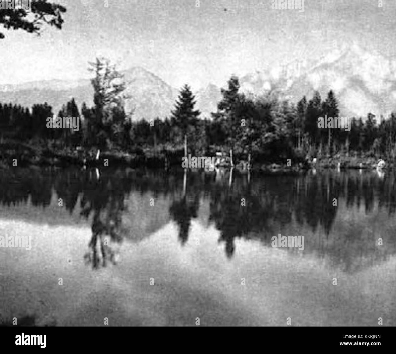 Ribnik na gradu Brdo est un site historique situé en Slovénie. Le site comprend un ancien étang à poissons situé près d'un château, connu pour son importance historique et culturelle dans le passé de regionâ€™, et son rôle dans le patrimoine local. Banque D'Images