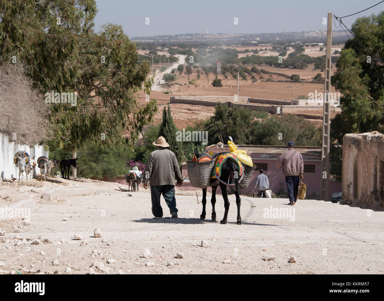 Un vieil homme menant son âne chargé de l'alimentation à l'écart de l'hebdomadaire le berbère marché libre un court chemin d'Essaouira au Maroc - paysage Banque D'Images