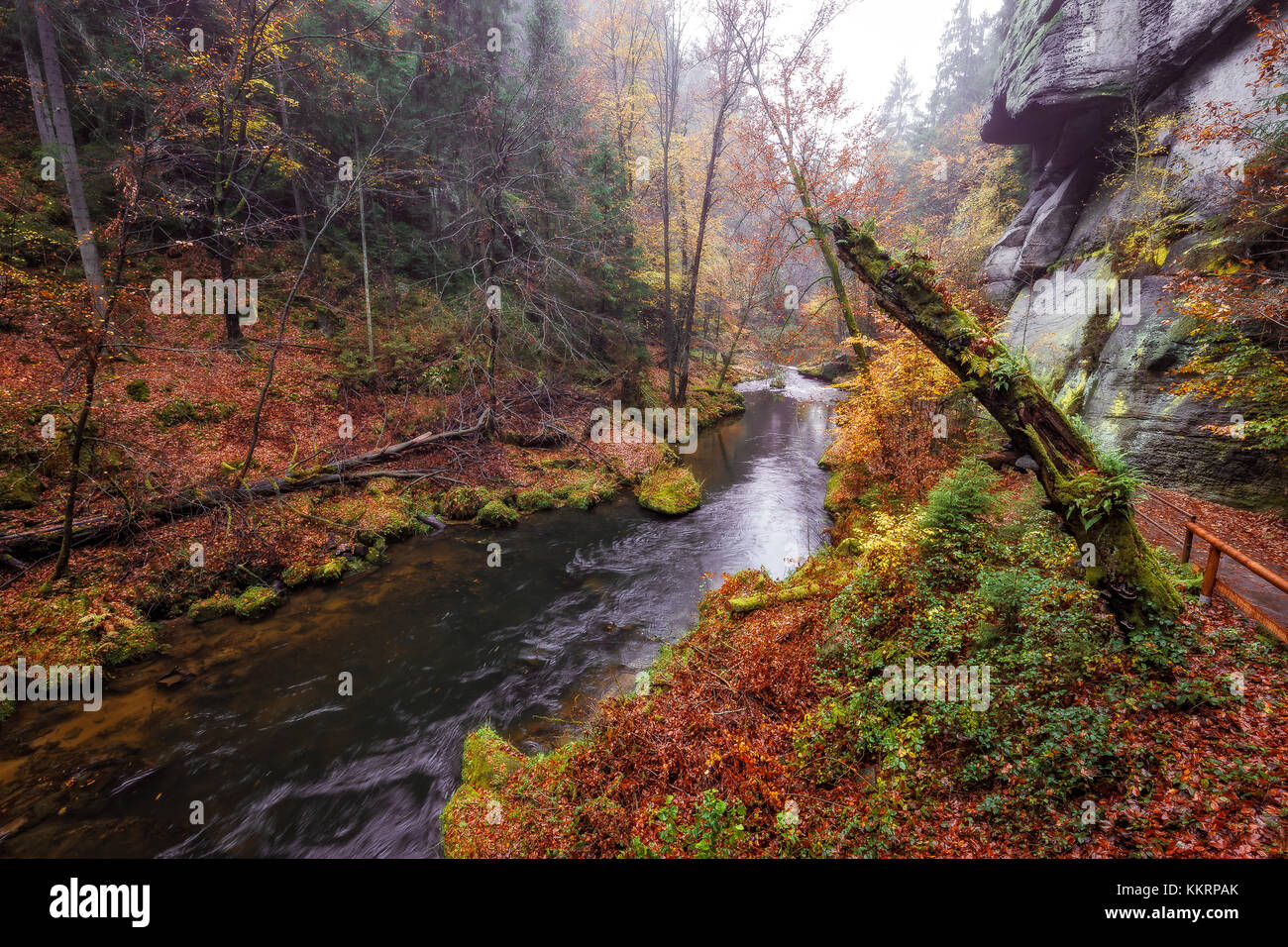 L'kamnitz gorge, dans le parc national de la Suisse saxonne Banque D'Images