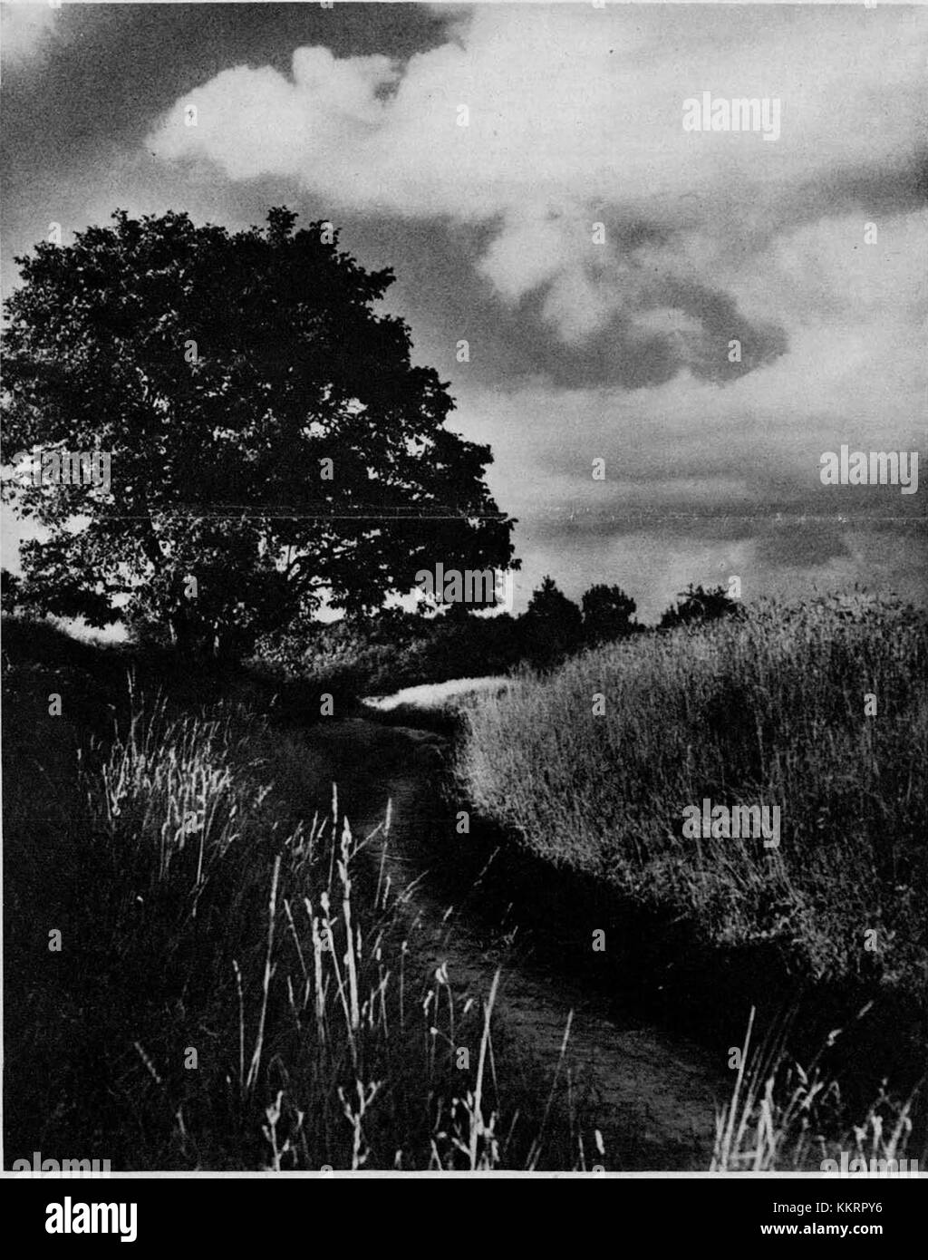 Cette photographie capture une scène estivale à Lavrica, un village près de Ljubljana, Slovénie, de 1927, mettant en valeur le paysage rural et la vie traditionnelle de la région au début du XXe siècle. Banque D'Images