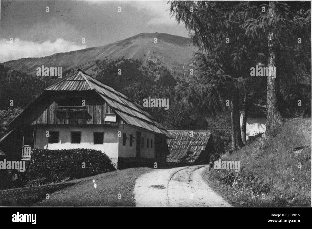 Pot na Golico fait référence à un chemin ou itinéraire de randonnée en Slovénie, plus précisément celui menant à la montagne Golico. La photographie date de 1927 et met en valeur le patrimoine slovène en plein air. Banque D'Images