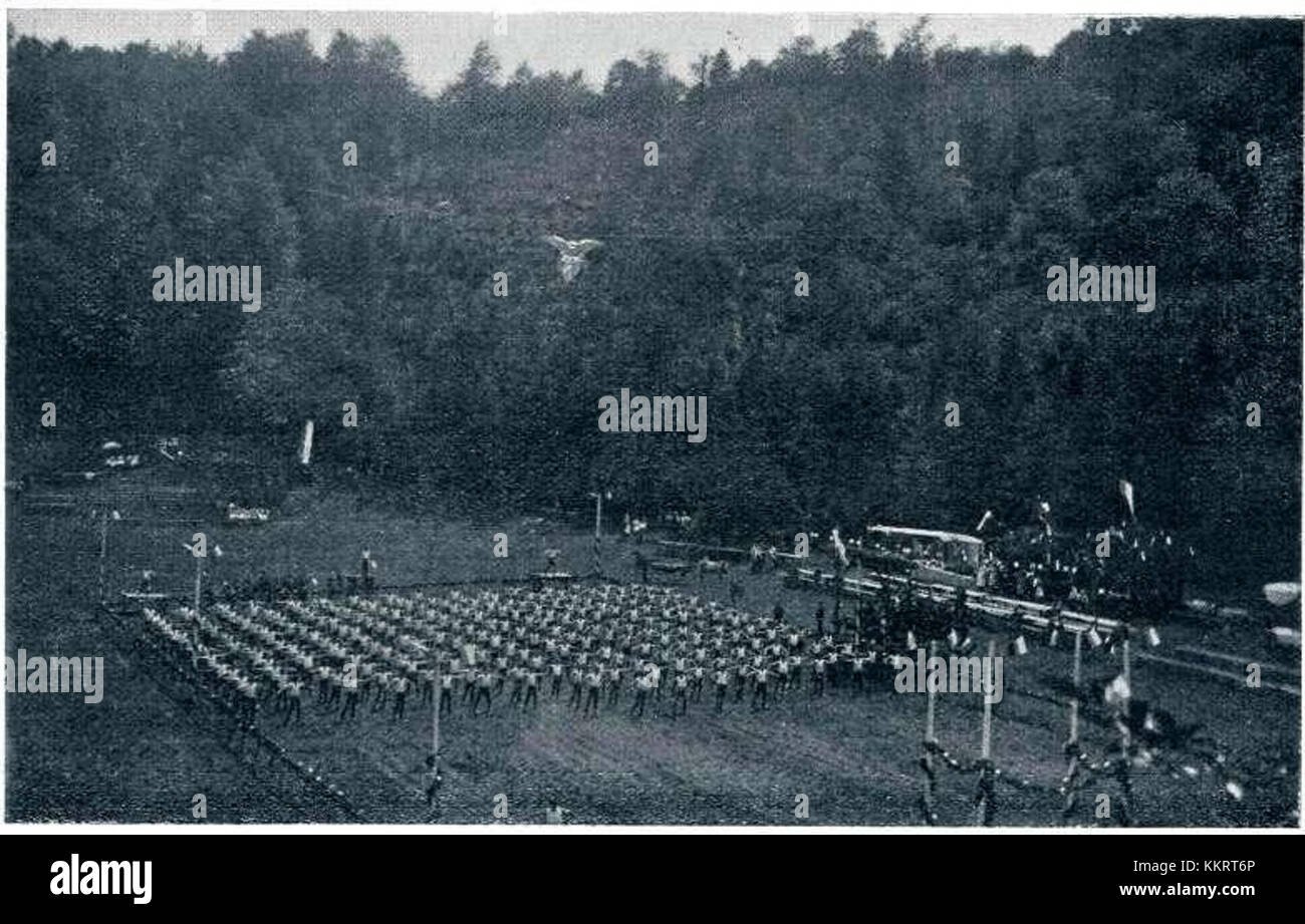 La photographie de 1912 de l'événement d'entraînement de l'aigle à Vrhnika, Slovénie, mettant en valeur la tradition. Banque D'Images