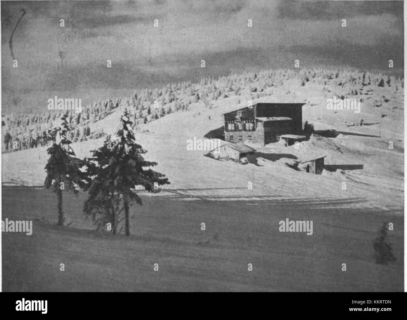 Le Senjorjev Dom, construit en 1939, est un bâtiment emblématique de Slovénie, connu pour son importance architecturale et historique. Elle a joué un rôle clé dans le développement social et culturel de la région au cours du XXe siècle. Banque D'Images