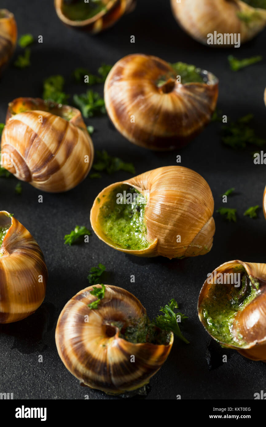 Français fantaisie escargot chaud avec du beurre et l'ail apéritif Banque D'Images