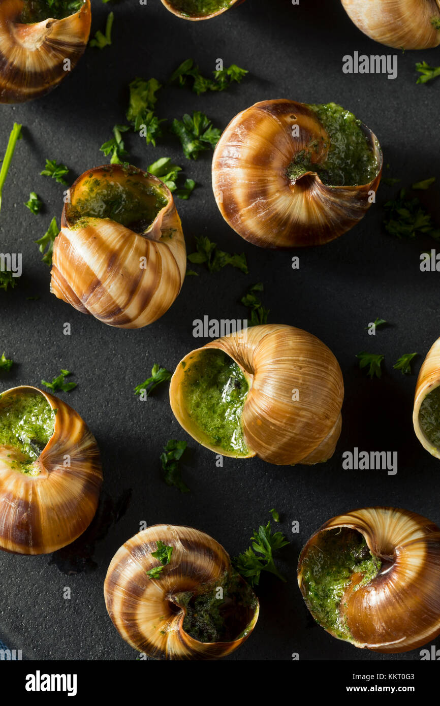 Français fantaisie escargot chaud avec du beurre et l'ail apéritif Banque D'Images