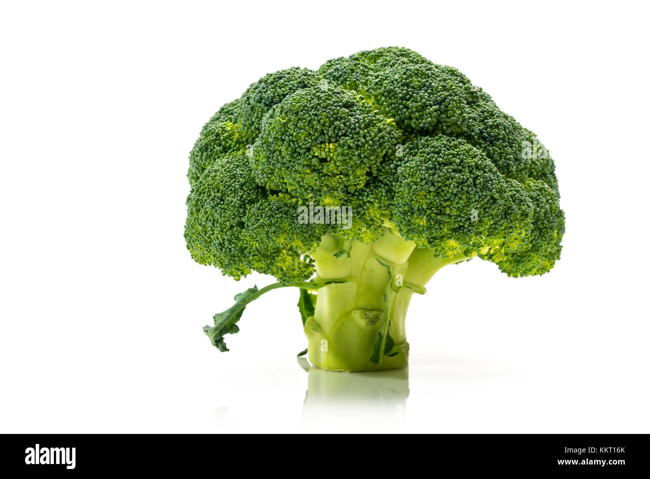 Le brocoli frais, regardez, Studio Shot on White Background Banque D'Images