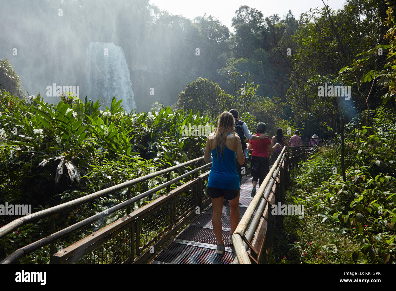 Touristique sur la passerelle par les chutes d'Iguazu, Argentine, Amérique du Sud Banque D'Images