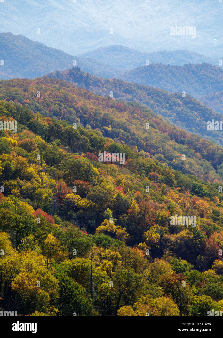 La Swinging bridge promenade tranquille est l'un des nombreux sentiers de la Caroline du Nord fin de l'US 441. l'allée est d'environ 800 miles de long et suit la crête avec l'hêtre shot Deep Creek Valley d'un côté, et la vallée de Cherry Creek, de l'autre. Banque D'Images