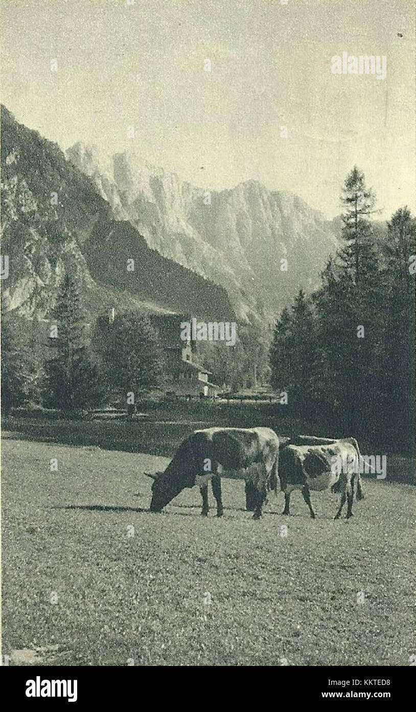 Cette carte postale de 1949 met en valeur Planica, un lieu célèbre en Slovénie connu pour sa colline de saut à ski et ses vues panoramiques. L'image capture la beauté naturelle et l'histoire des sports d'hiver du regionâ€™s. Banque D'Images