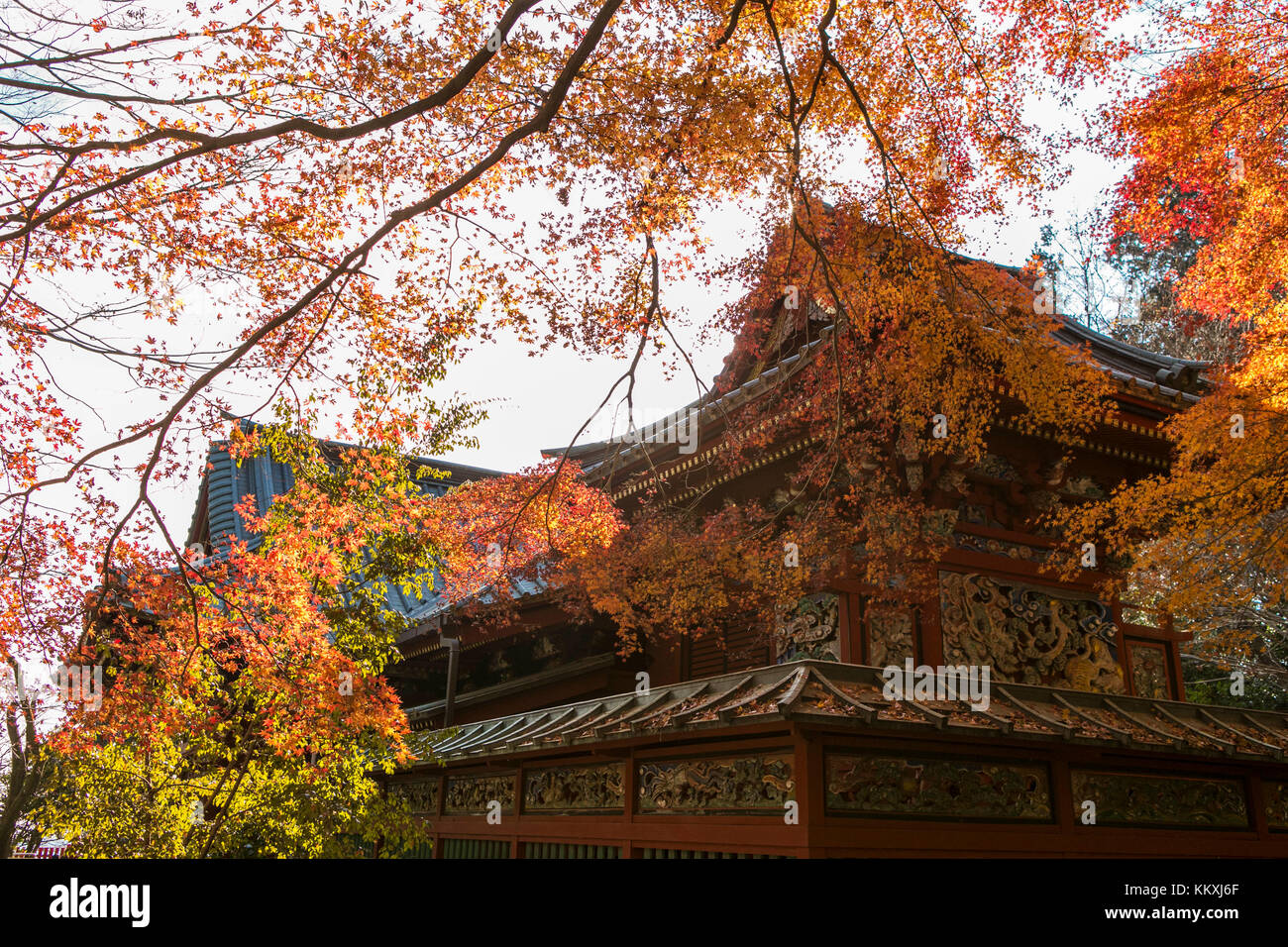 Mont Takao, Japon. 2 décembre 2017. On peut encore voir le feuillage d'automne sur le Mont Takao au Japon en décembre. Crédit: Yuichiro Tashiro crédit: y.location/Alay Live News Banque D'Images