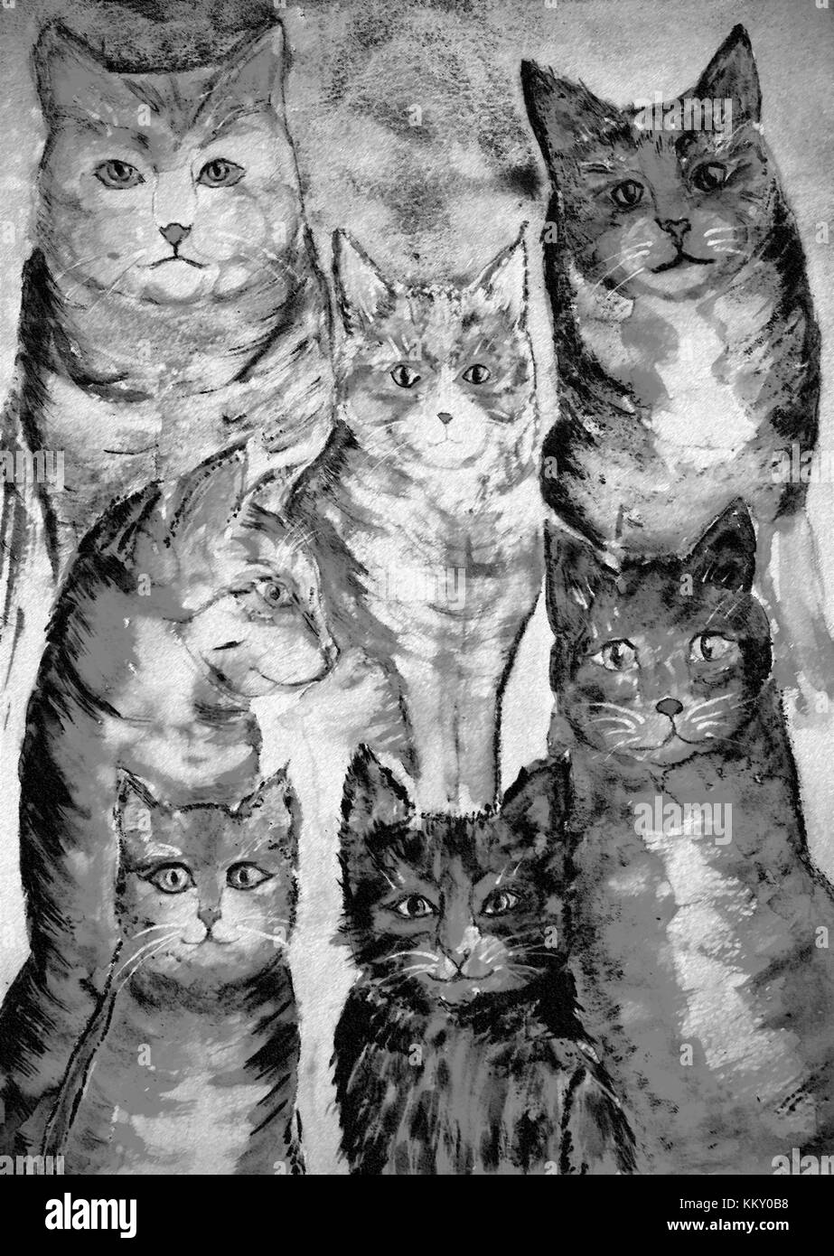 Rassemblement de différents types de chats en noir et blanc. la touche technique donne un effet de flou en raison de la modification de la rugosité de la pa Banque D'Images