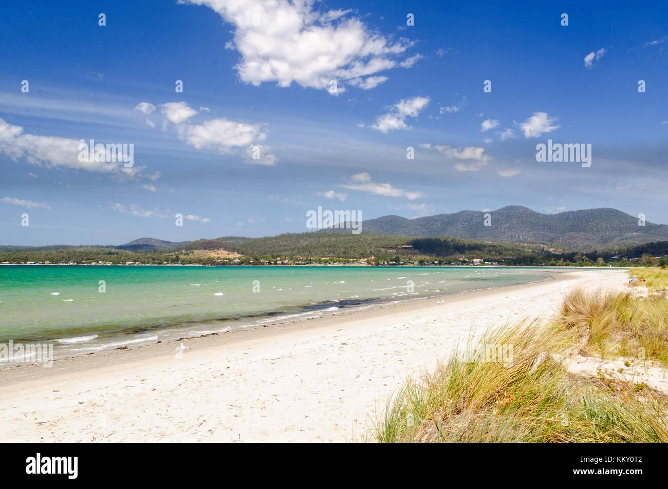 Sable blanc sur l'emblématique Raspins Beach d'Orford, sur la côte est de la Tasmanie, en Australie Banque D'Images