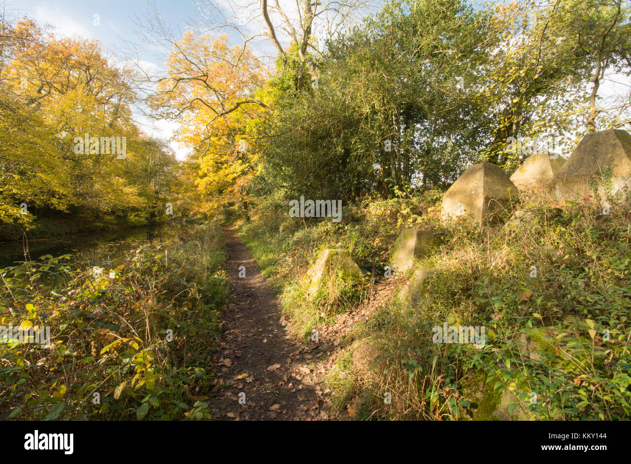 Les défenses anti-chars dragons (dents) à côté du canal à Basingstoke dans le Hampshire Crookham Banque D'Images