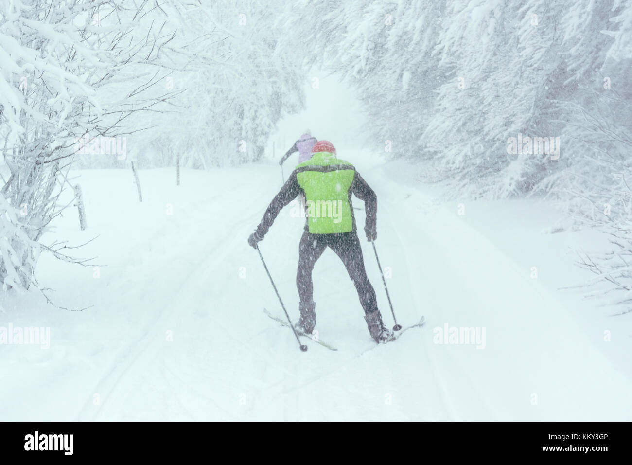 Les skieurs de pratiquer dans une forêt de montagne alors qu'il neige beaucoup, les Vosges en hiver, France. Banque D'Images