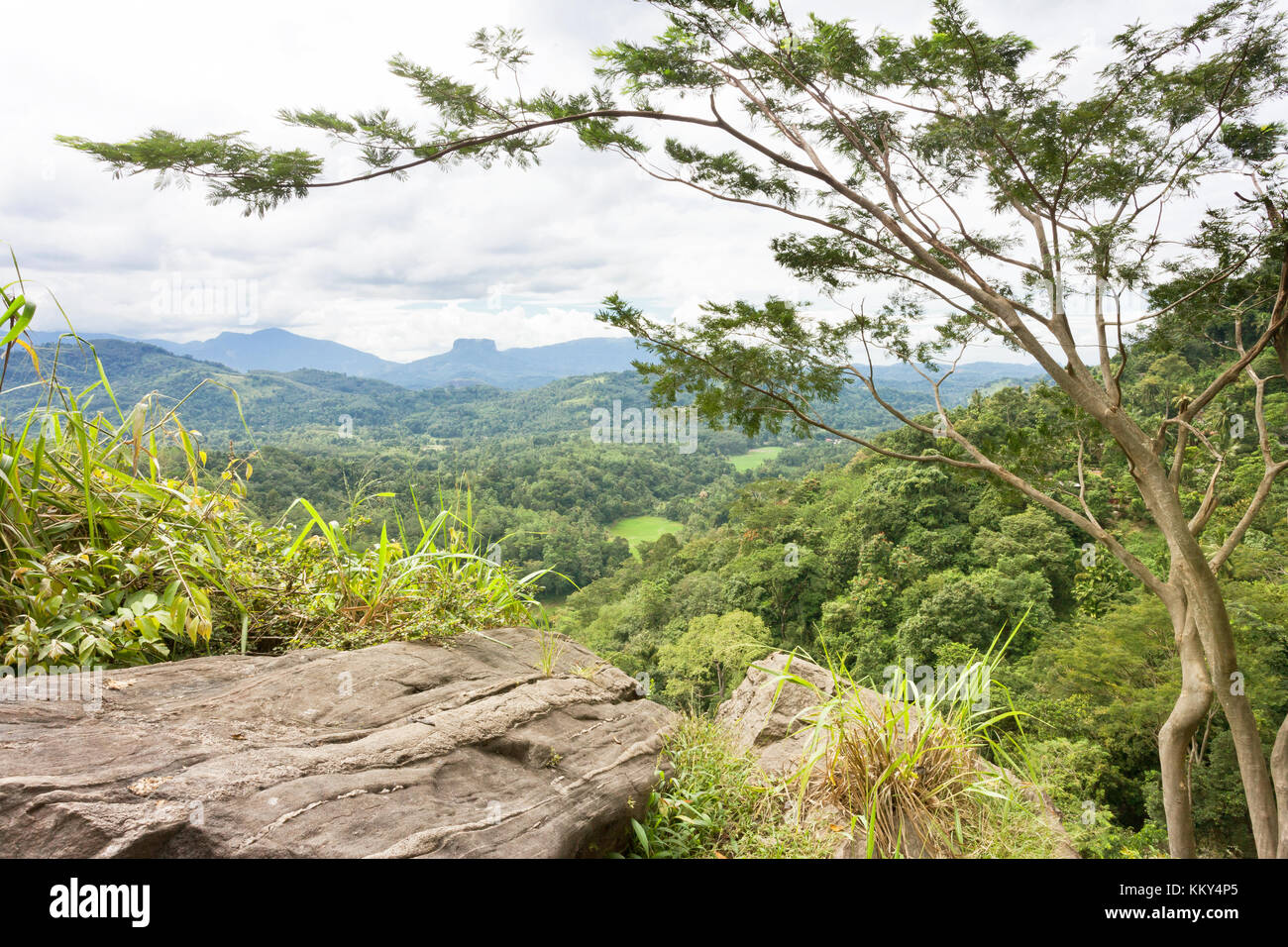 Uthuwankanda, Kandy, Sri Lanka, Asie Banque D'Images