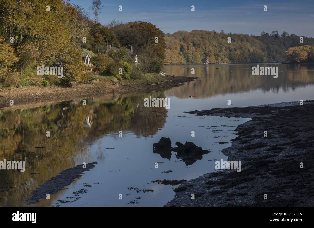 Dittisham Mill Creek, qui se déversent dans l'estuaire de la DART à l'automne, dans le sud du Devon. Banque D'Images