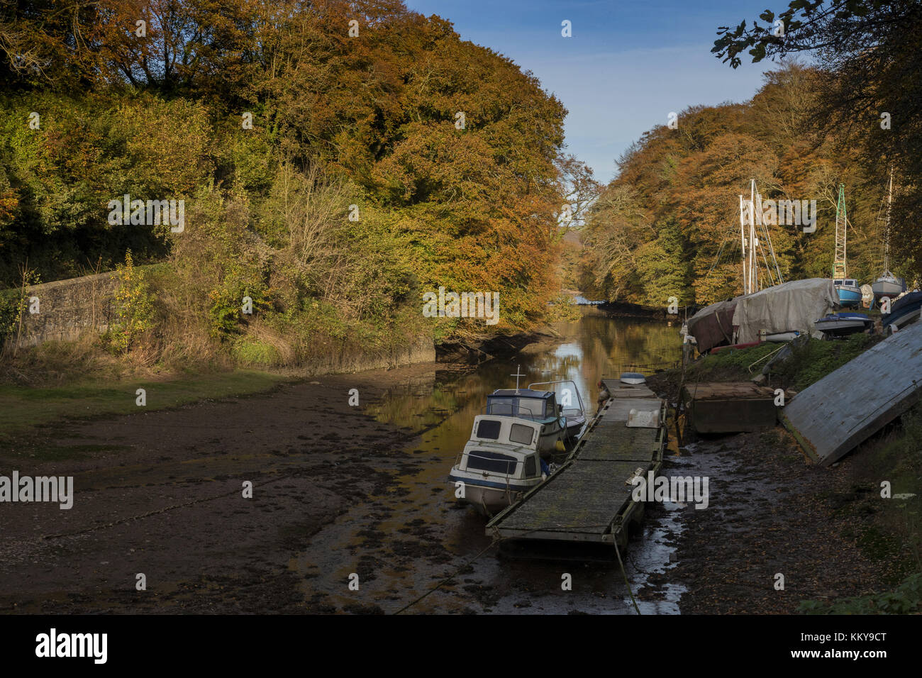 Old Mill Creek, près de Dartmouth, qui se déversent dans l'estuaire de la DART à l'automne, dans le sud du Devon. Banque D'Images