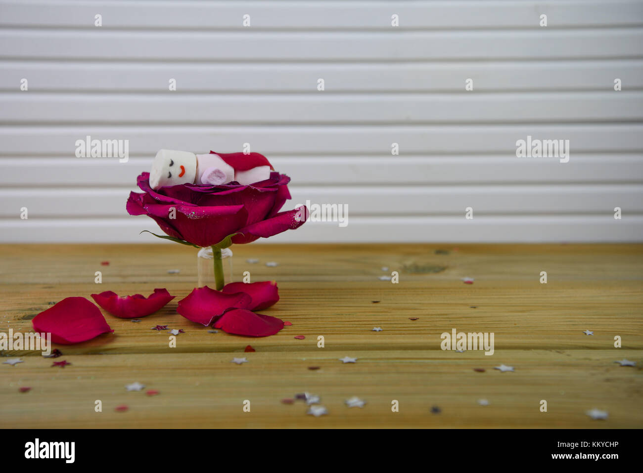 La photographie d'hiver romantique avec des pétales de rose et rouge avec de la nourriture que les guimauves en forme de sommeil heureux libre de fond en bois rustique Banque D'Images