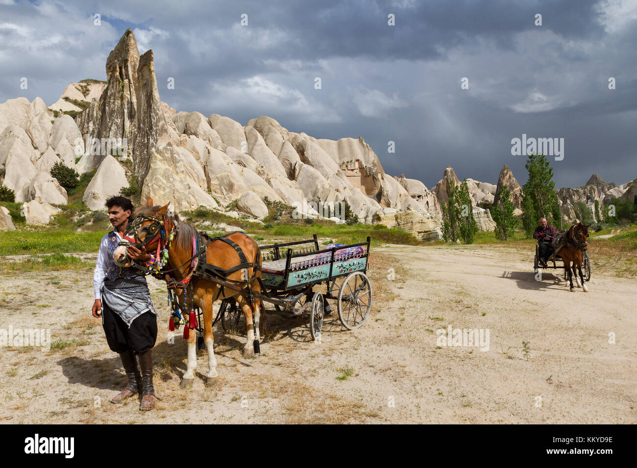 Les charrettes à cheval avec des formations de roche volcanique en arrière-plan en Cappadoce, Turquie. Banque D'Images