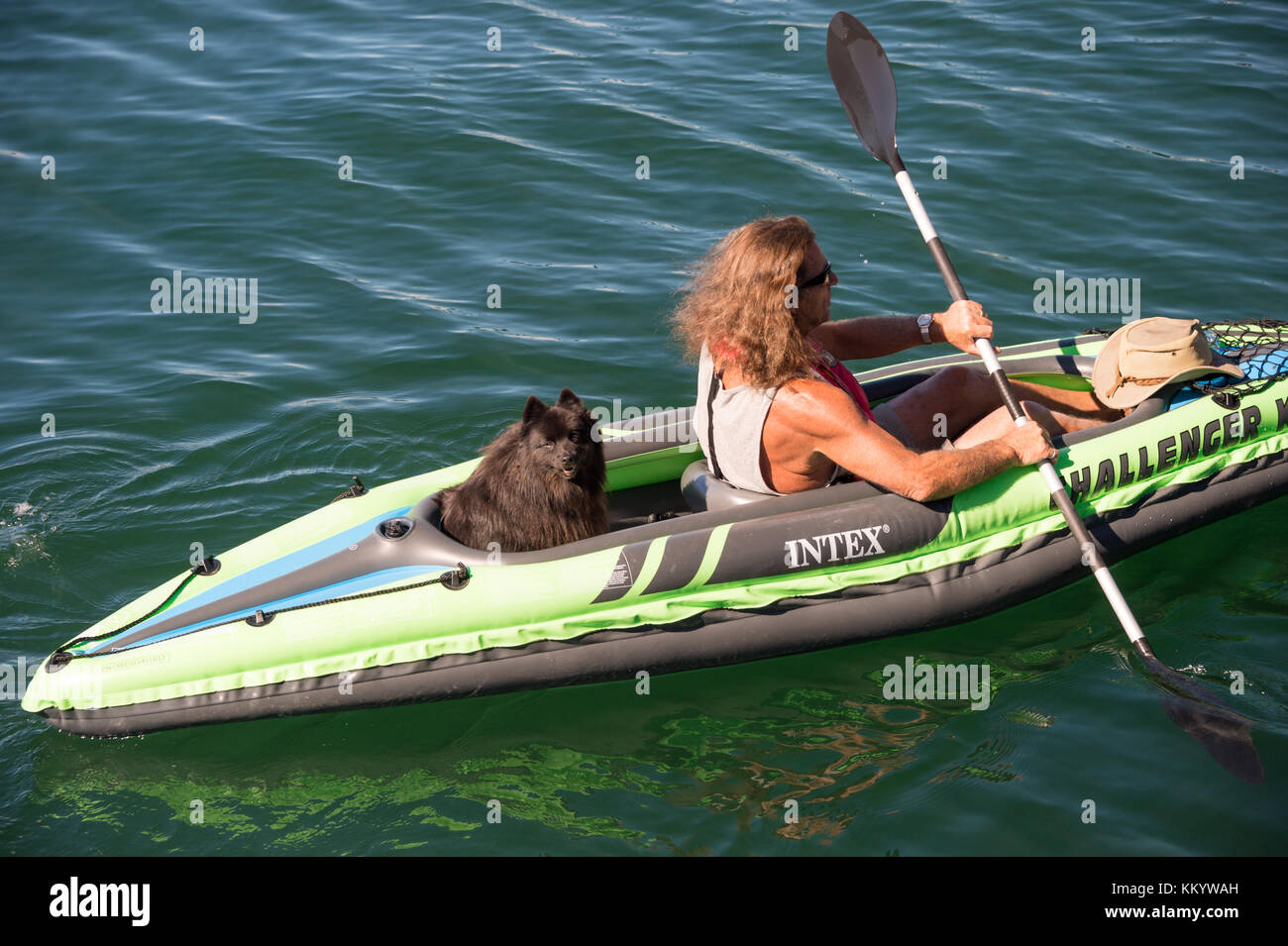 Victoria (Colombie-Britannique), Canada - 11 septembre 2017 : un homme  faisant du kayak avec son chien de compagnie dans le port de Victoria Photo  Stock - Alamy