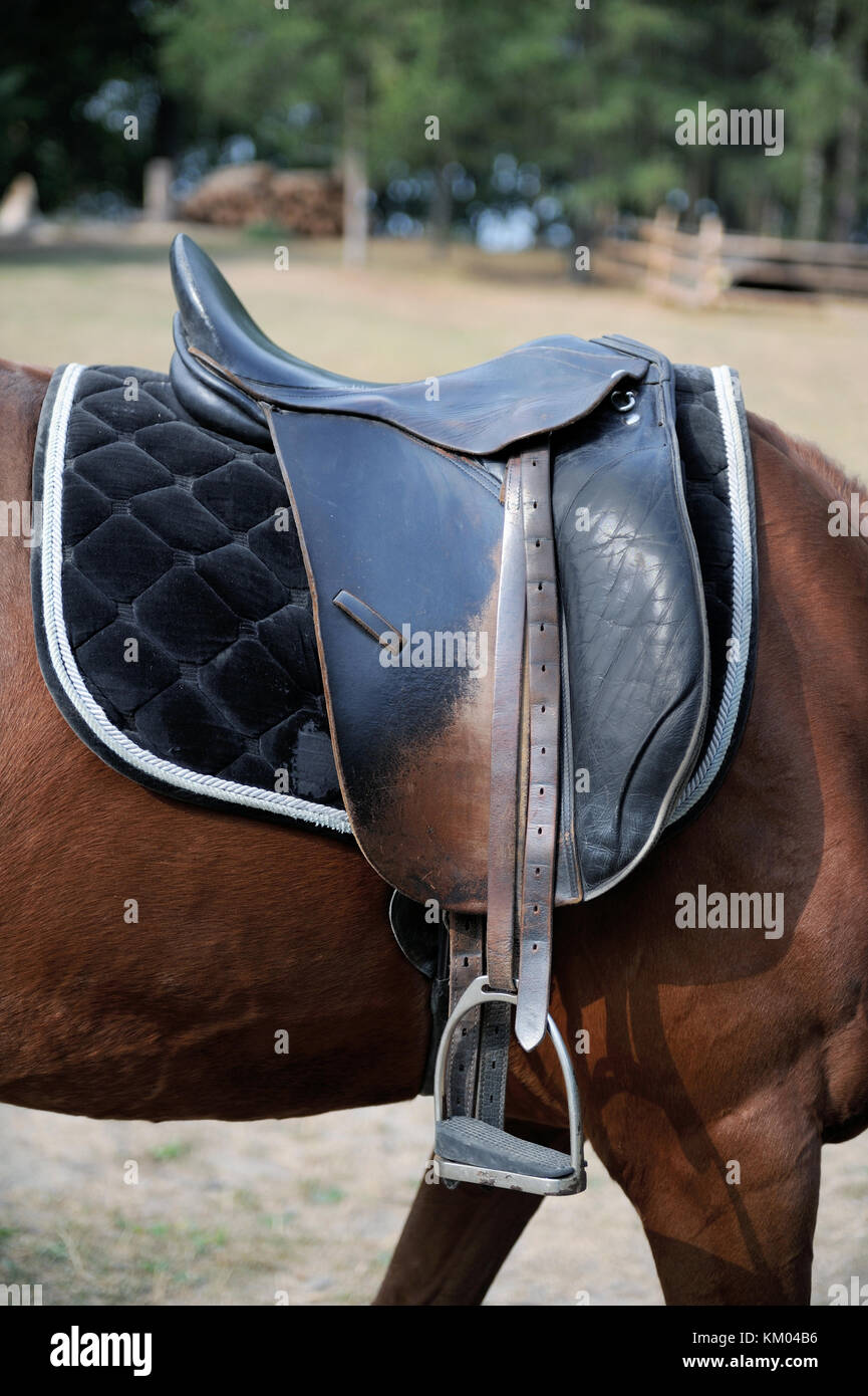 Détail d'une selle de cheval, tir horizontal Photo Stock - Alamy