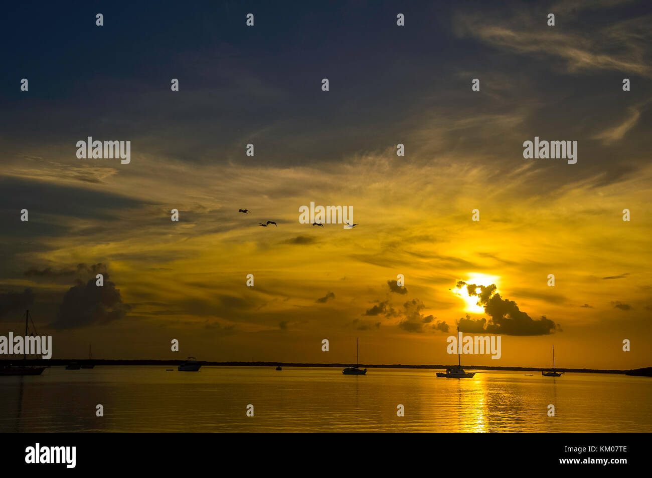 Coucher De Soleil à Key West En Floride états Unis Avec Des