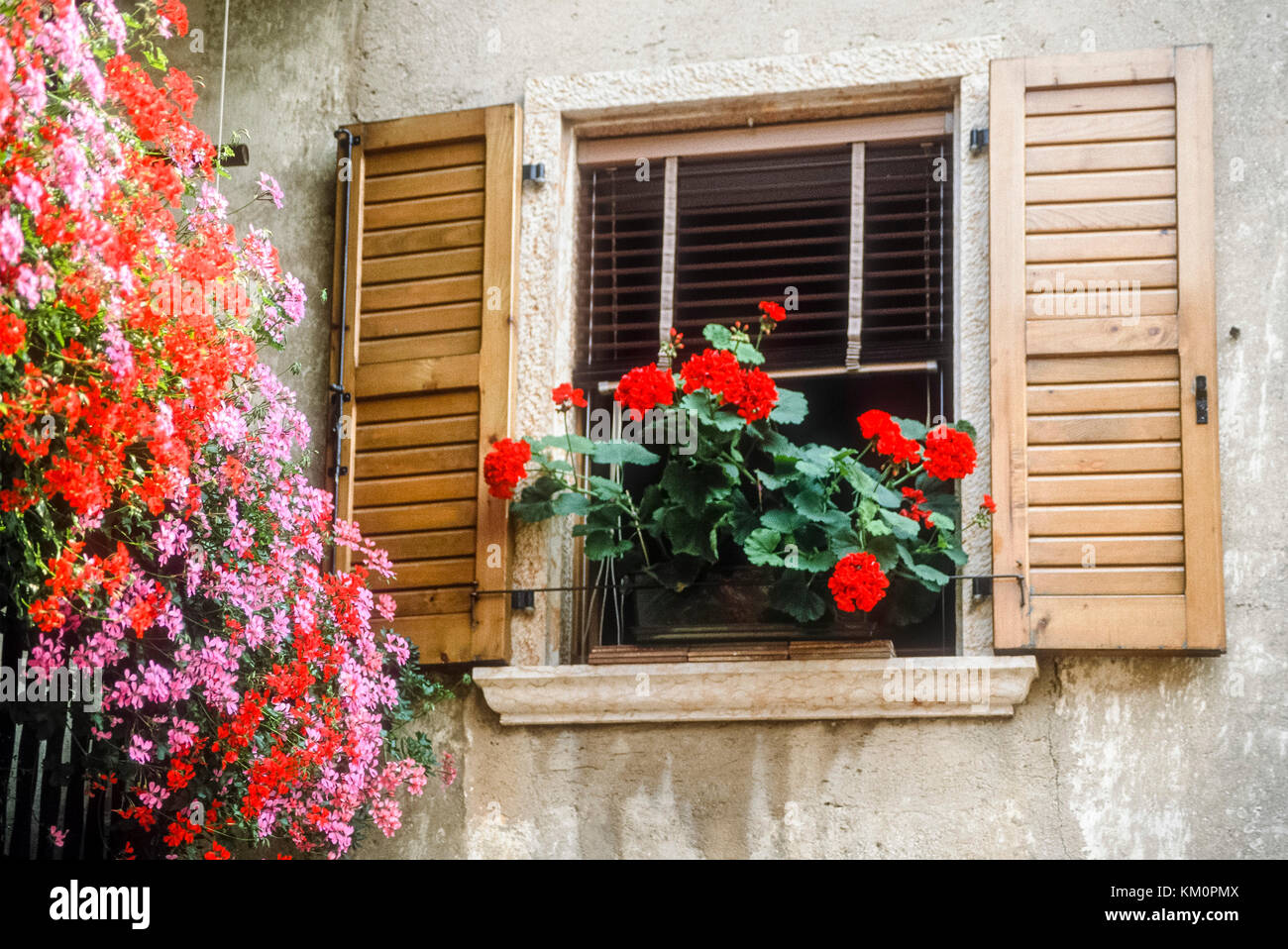 Affichage floral à ouvrir la fenêtre de l'obturateur en Italie Banque D'Images