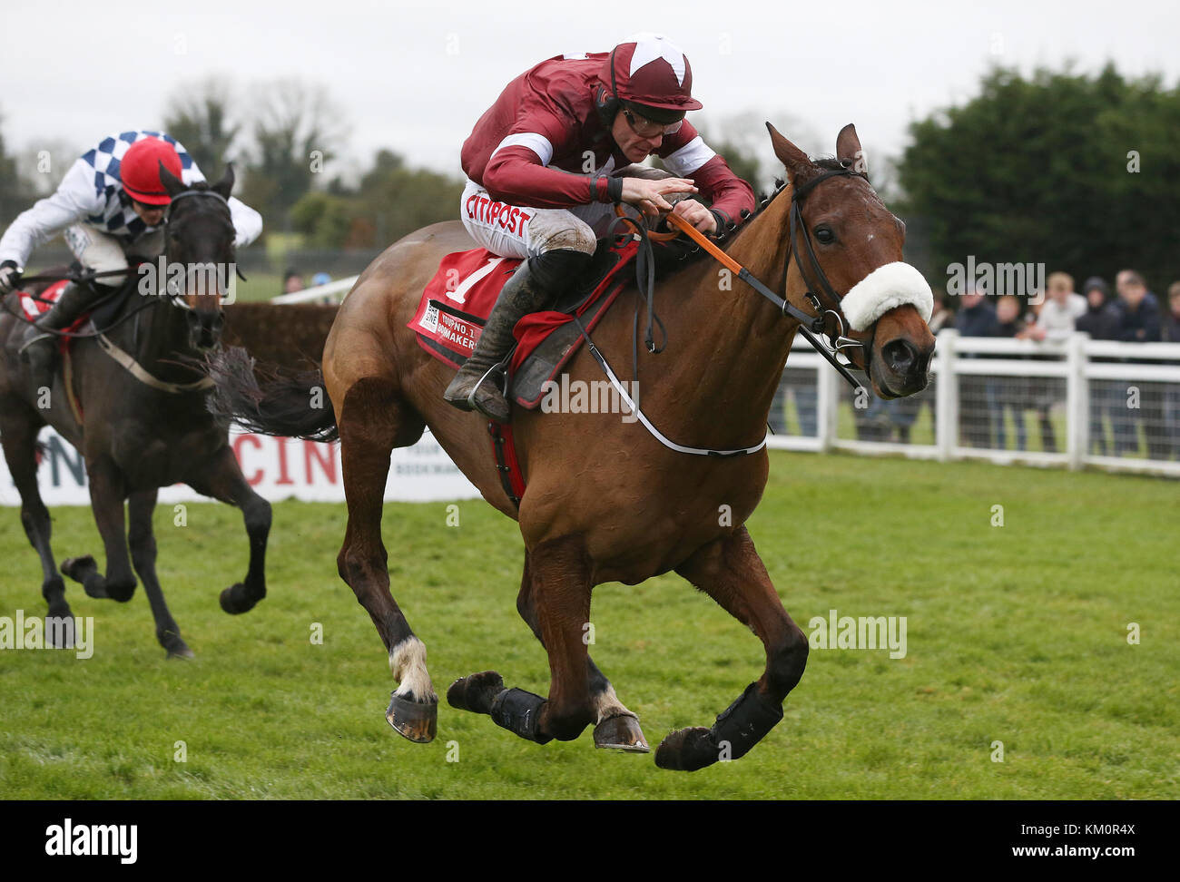 Peine de devoir monté par Davy courses Russell à l'écart de la dernière sur la façon de gagner le Bar 1 Drinmore Steeple débutant au cours du deuxième jour de la fête de l'hiver à Fairyhouse Hippodrome Fairyhouse, comté de Meath. Banque D'Images