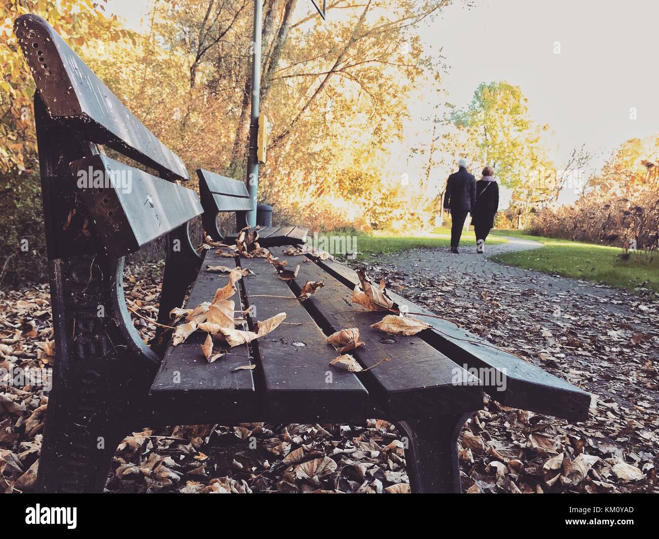 Les feuilles mortes sont tombées sur la banque dans la saison d'automne, un vieux couple marche sur la route. Banque D'Images