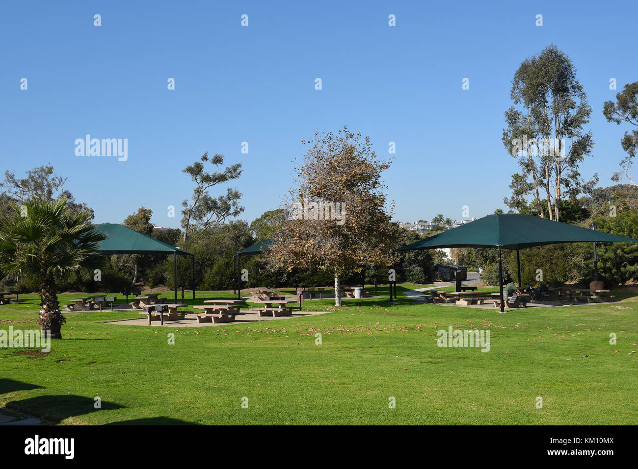 Dana Point, Californie - 1 décembre 2017 : Doheny State Beach lawn et de pique-nique. La plage est un spot de surf populaire avec des terrains de volley-ball, des aires de pique-nique et Banque D'Images