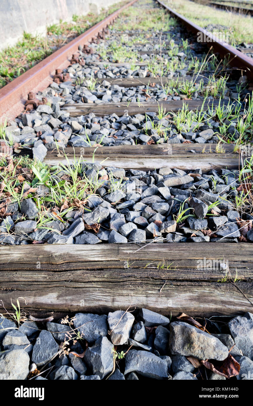Rusty rails avec traverses en bois et la végétation envahissante Banque D'Images