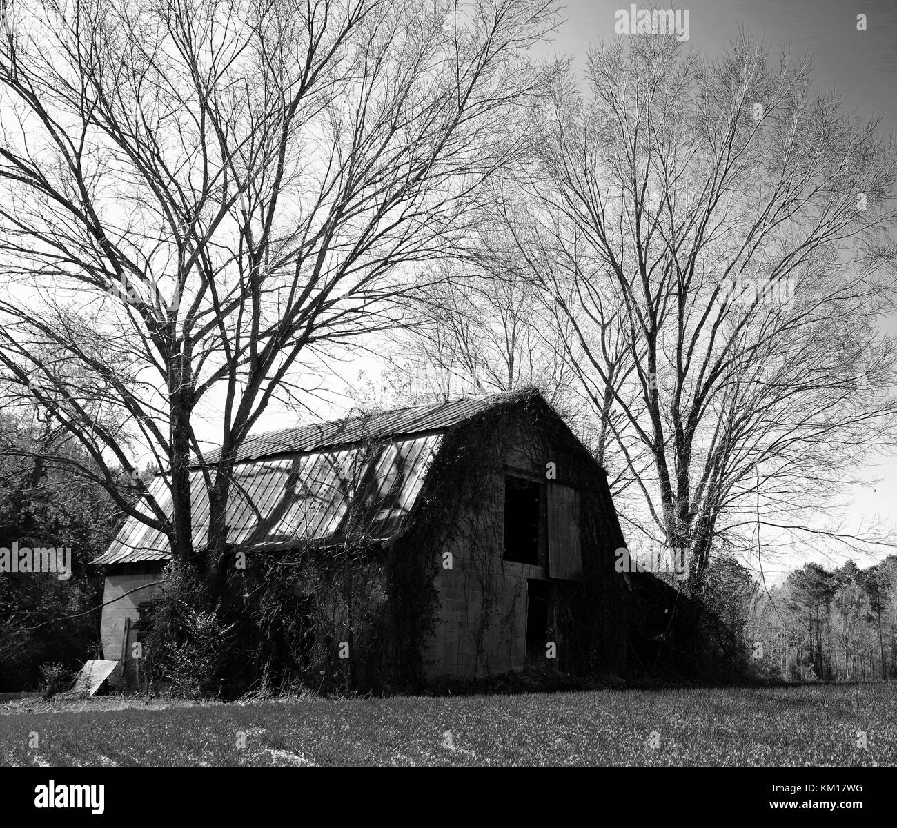 Ancienne grange du tabac dans le champ Banque D'Images