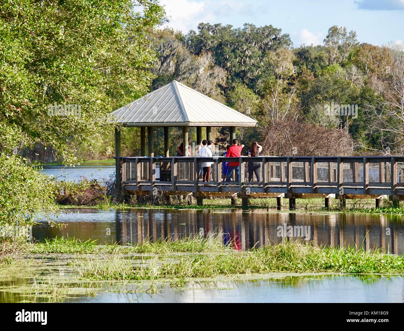 USA, Floride, Gainesville. Paynes Prairie Preserve State Park gazebo à la fin de la promenade le long du lac Alachua avec les gens observant la faune invisible. Banque D'Images