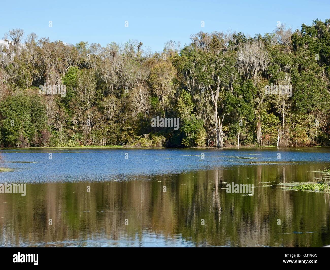Lac à Paynes Prairie Preserve State Park, Florida, USA > Banque D'Images