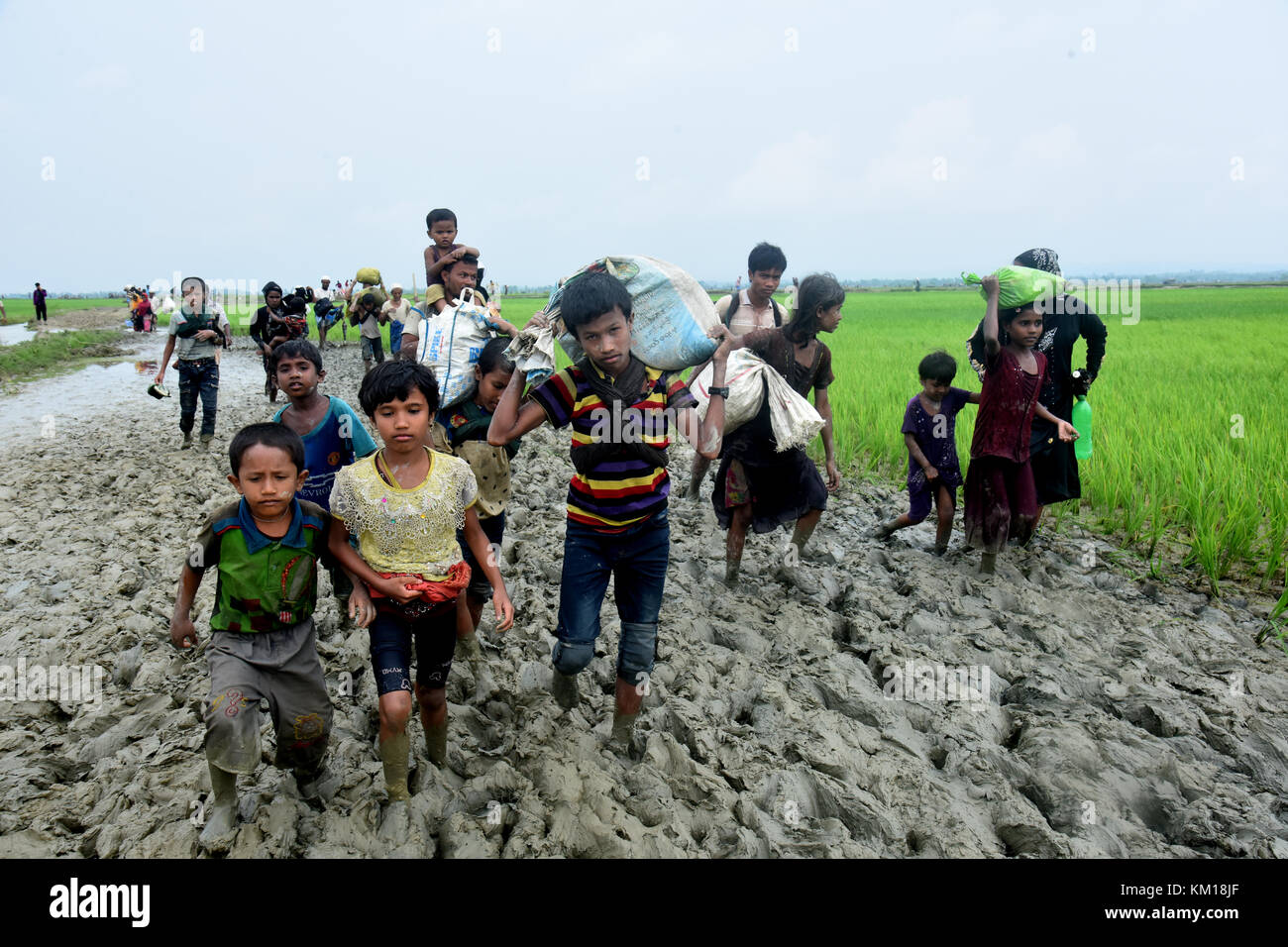 Des centaines de Rohingyas personnes traversant la frontière du Bangladesh en fuyant de l'état à Rakhain Myanmar après le passage de la rivière en Taknuf Nuf, Bangladesh Banque D'Images