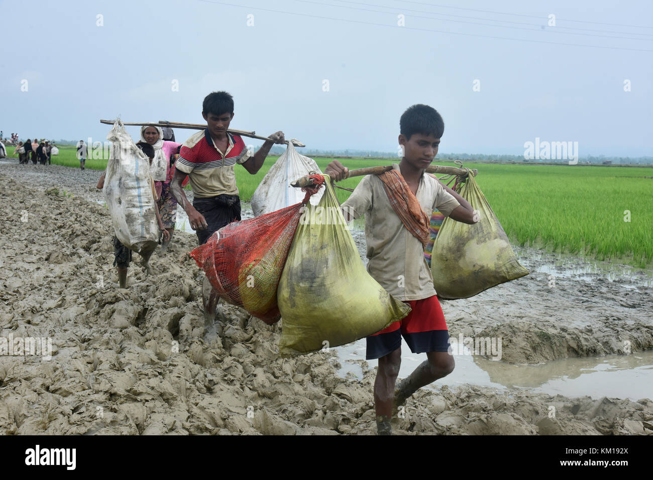 Des centaines de Rohingyas personnes traversant la frontière du Bangladesh en fuyant de l'état à Rakhain Myanmar après le passage de la rivière en Taknuf Nuf, Bangladesh Banque D'Images