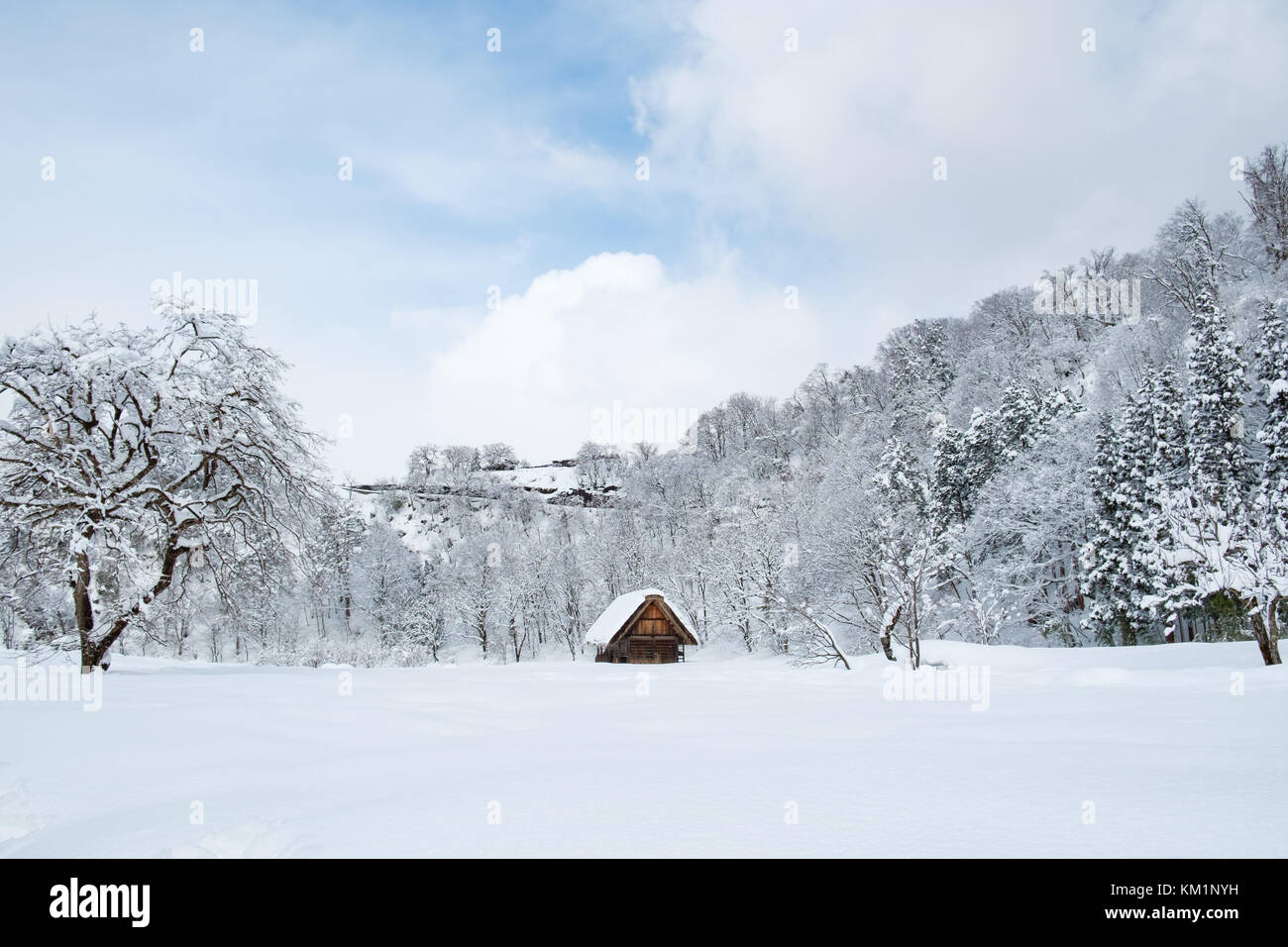 Villages historiques de Shirakawa-go et Gokayama, Japon. L'hiver à Shirakawa-go, Japon. style traditionnel dans des huttes Gassho-zukuri, village shirakawago et Banque D'Images