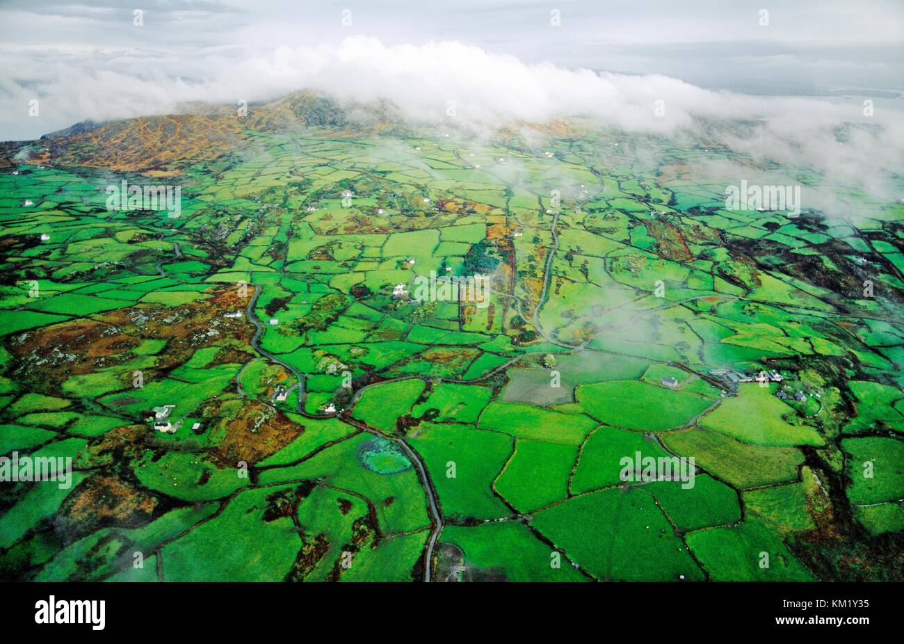 Des champs verts et hill terres agricoles à Mizen Head, la pointe la plus s-ouest de l'irlande. n.e. plus de clogher vers carrigagat. Banque D'Images