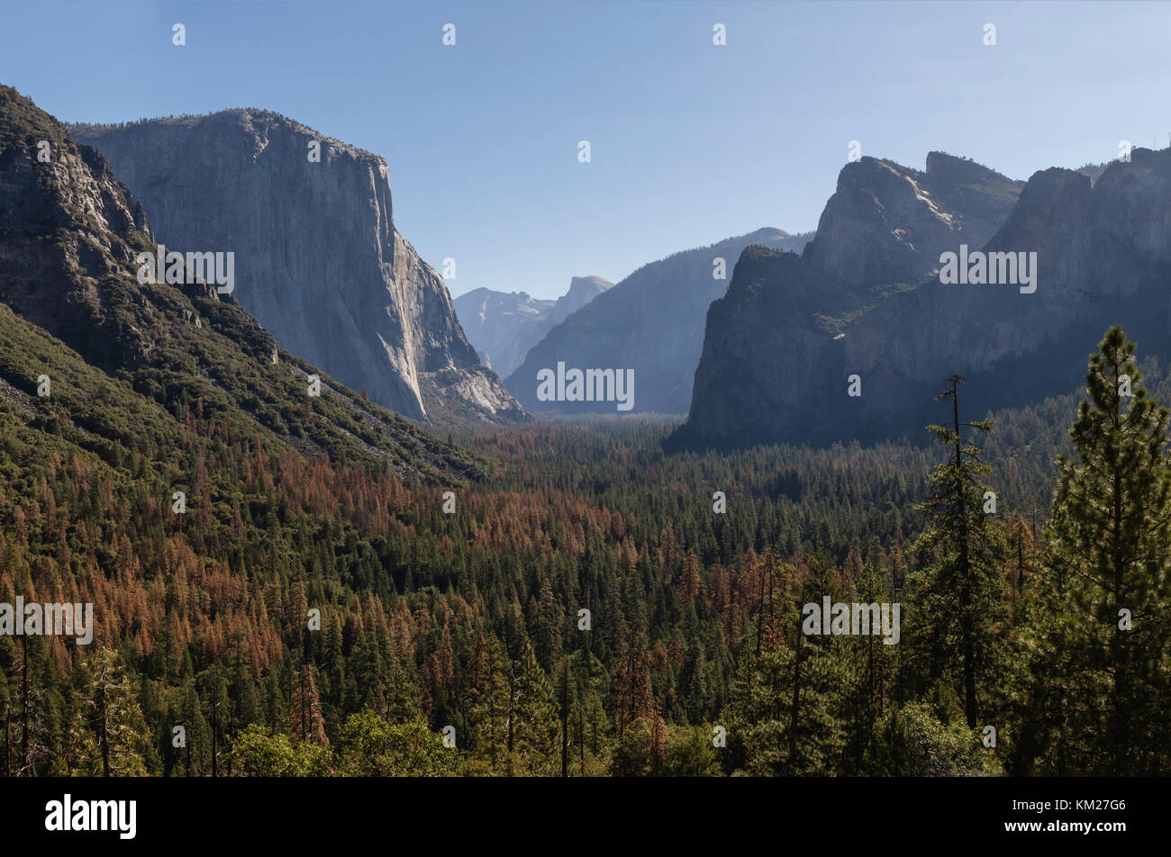 Célèbre vue de tunnel dans la vallée de Yosemite, Yosemite National Park, California, USA Banque D'Images