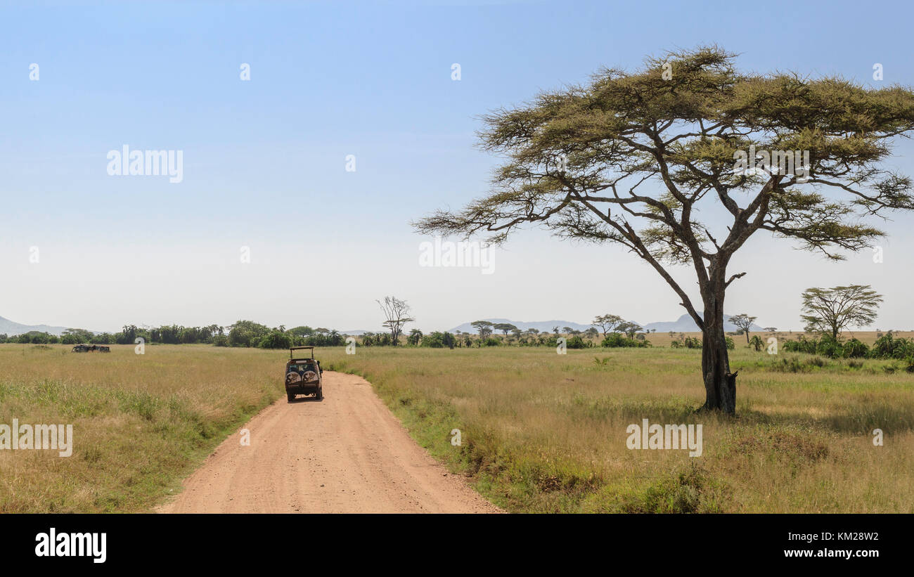 Jeep safari dans le Serengeti, Tanzanie, Afrique du Sud Banque D'Images