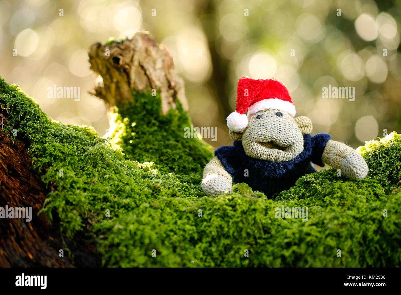 Un singe festif en laine ou un Munkeh portant un chapeau de Noël. Ces personnages sont apparus dans des publicités pour ITV Digital et PG Tips. Banque D'Images